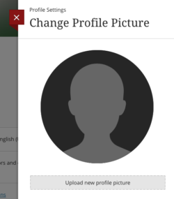 Screenshot showing upload tool for a profile picture