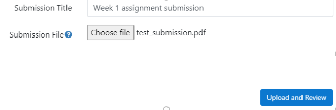Screenshot of the upload and review screen, showing a title entered for the submission and a file selected for upload