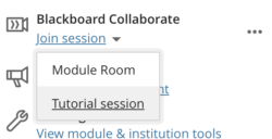 Option to join scheduled session