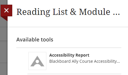 Select Accessibility Report to enter Module Ally Tool