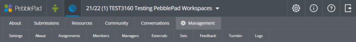 screenshot of management tabs in a pebblepad workspace