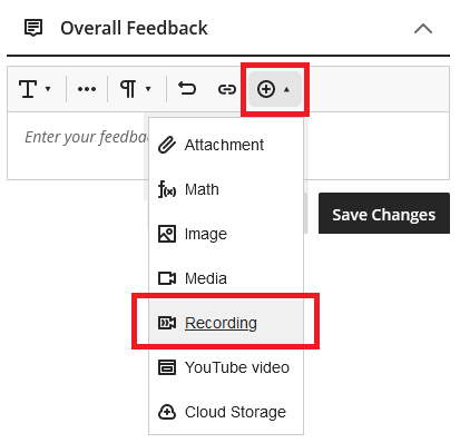 Image showing the Recording option in the toolbar in the Overall Feedback box.