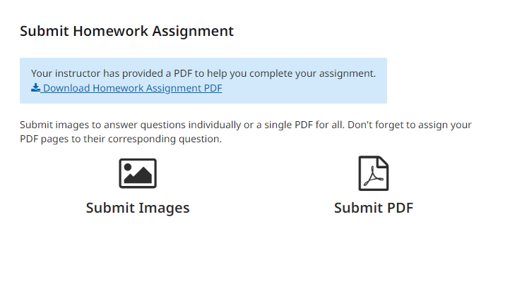 Submit Assignment option