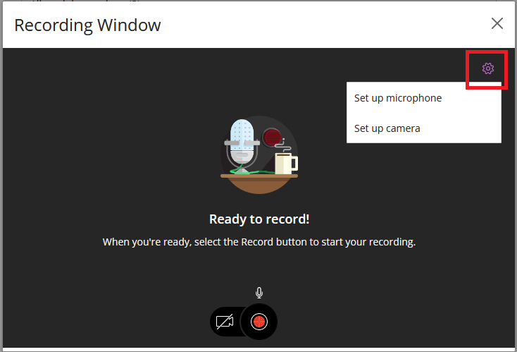 Image showing the cog icon in the Recording Window, used to set up or test mic and camera.