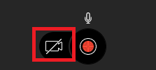 Image showing how the camera icon appears when a camera is not enabled.