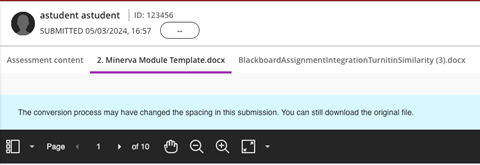 Grading interface of an assignment in Minerva showing the side-by-side or tabbed layout when multiple files have been submitted.