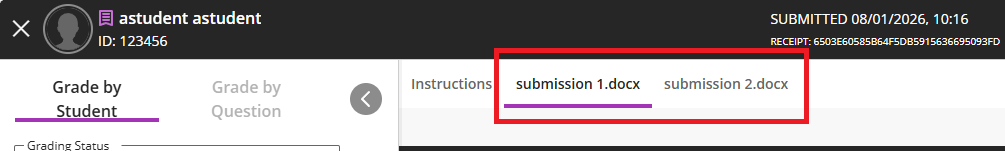 Tabs showing options to view different files where a student has uploaded more than one.