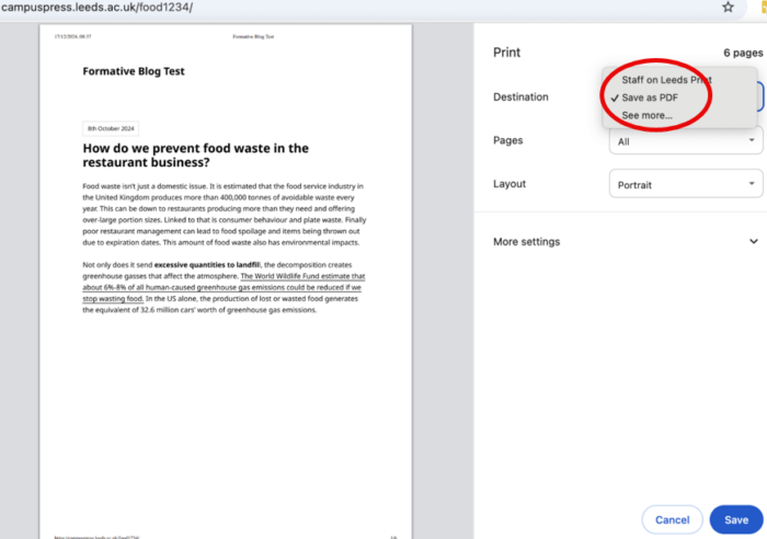 image showing where to select the option to print to pdf