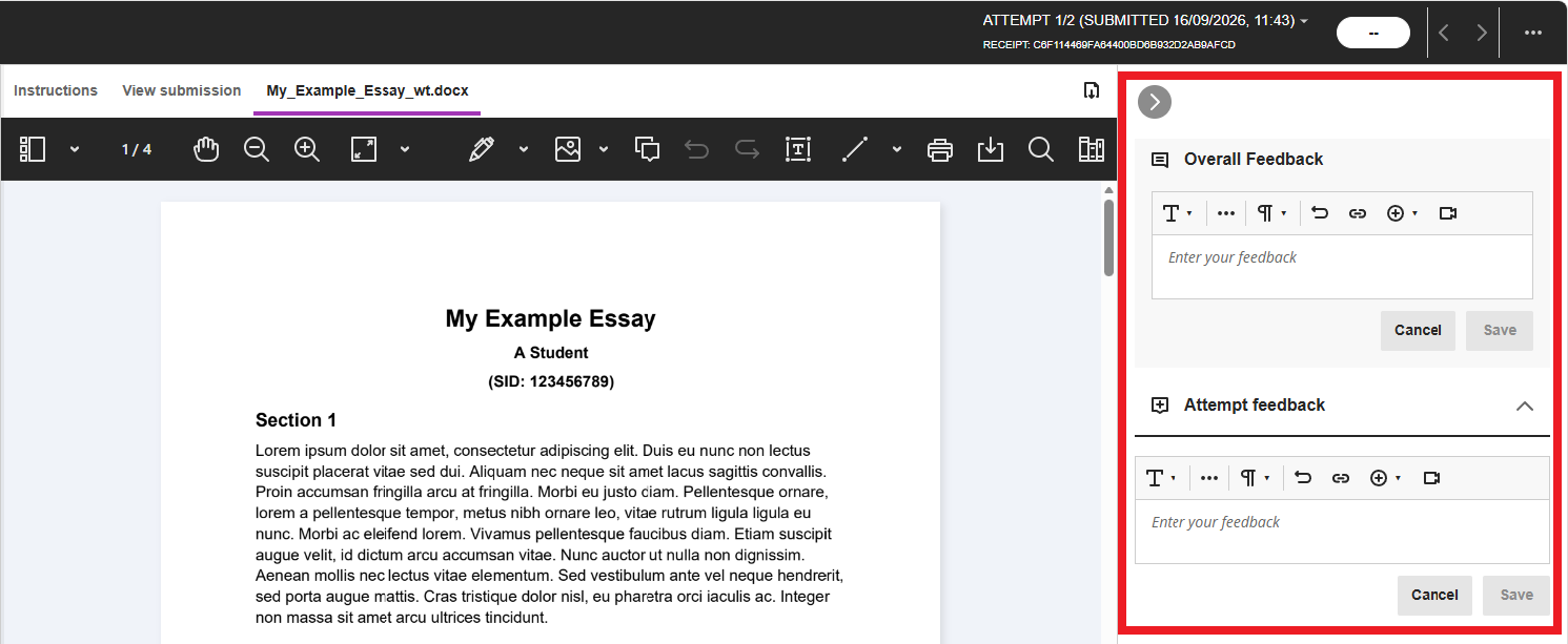 The Annotate interface with the Feedback panel expanded on the right.
